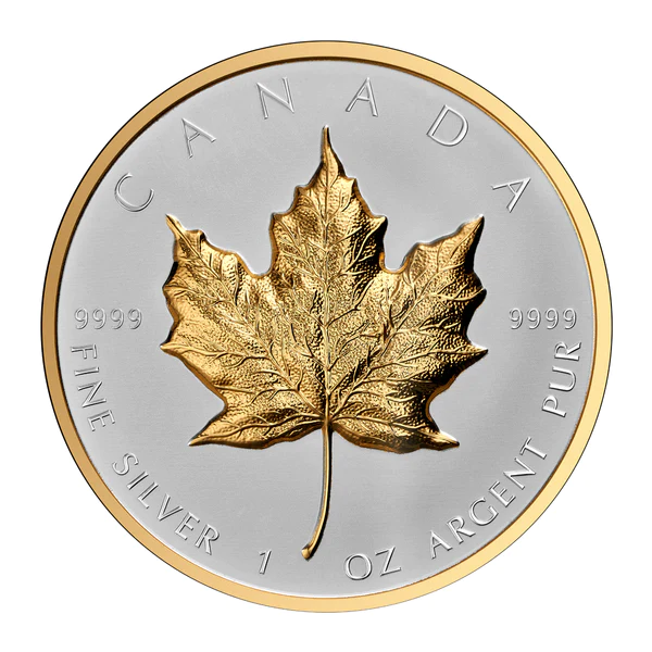 Investment Banking Business for Sale Listings